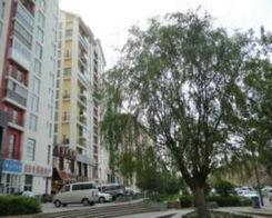 绿洲小区爆料最新消息新闻,揭秘小区神秘事件真相！